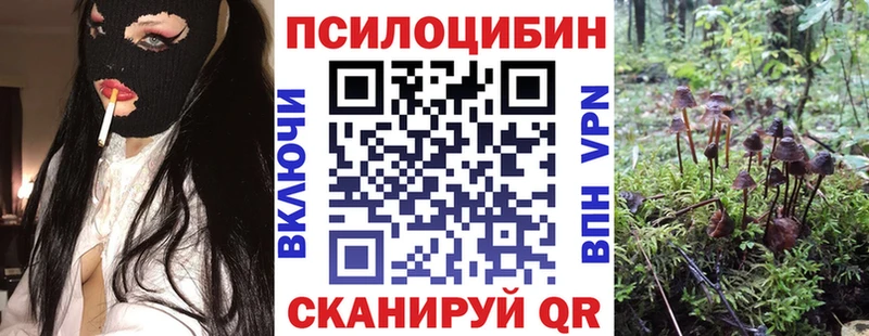 Галлюциногенные грибы MAGIC MUSHROOMS  сколько стоит  Чистополь 