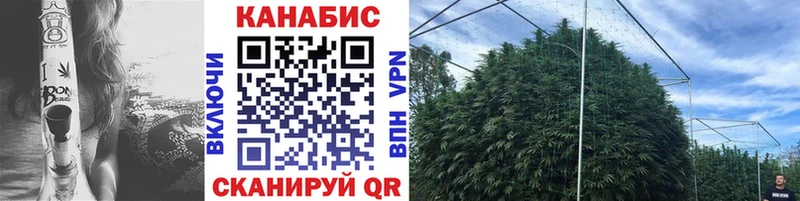 MEGA рабочий сайт  Чистополь  Шишки марихуана тримм 